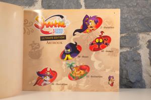 Shantae- Half-Genie Hero (Ultimate Day One Edition) (16)